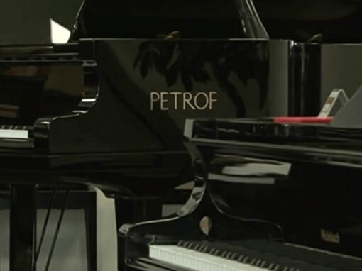Petrof